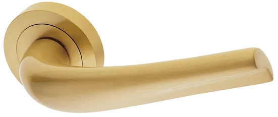 RAFT R2 OSA, ручка дверная, цвет - матовое золото фото купить Барнаул