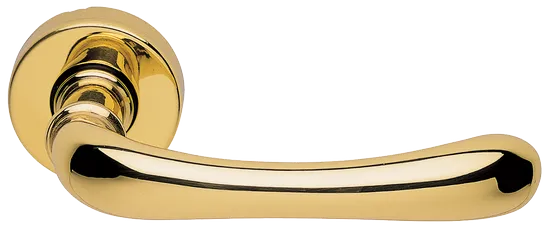 RING R3-E OTL, ручка дверная, цвет - золото фото купить Барнаул
