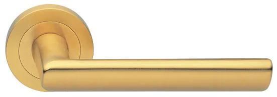 STELLA R2 OSA, ручка дверная, цвет - матовое золото фото купить Барнаул