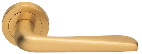 PETRA R2 OSA, ручка дверная, цвет - матовое золото фото купить Барнаул