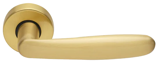 IMOLA R3-E OSA, ручка дверная, цвет - матовое золото фото купить Барнаул